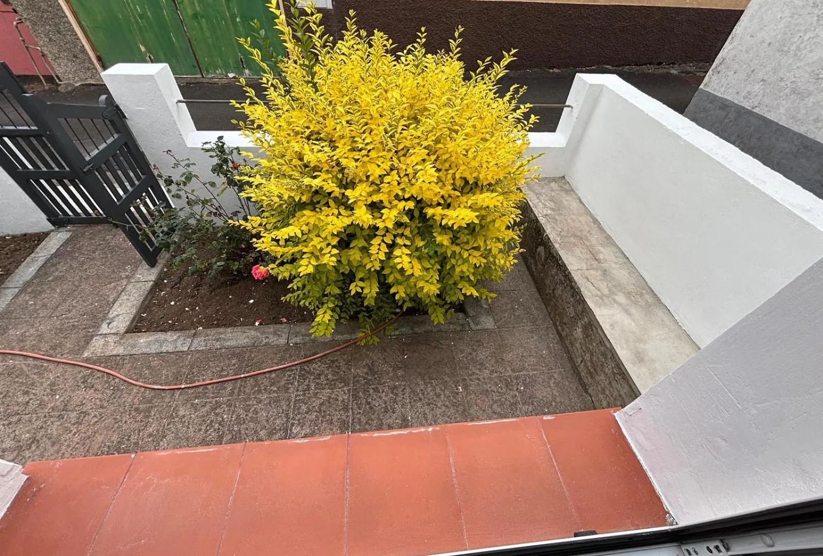 Semesterbostad Las Rosas De Clara Tegueste
